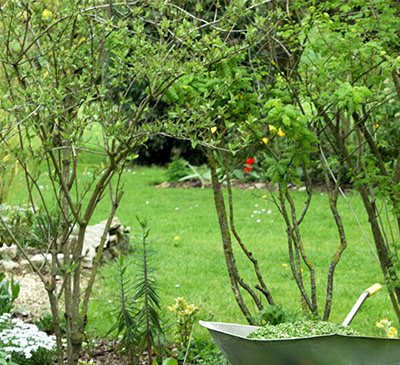 Global Electric Wheelbarrow Market 2019-2023